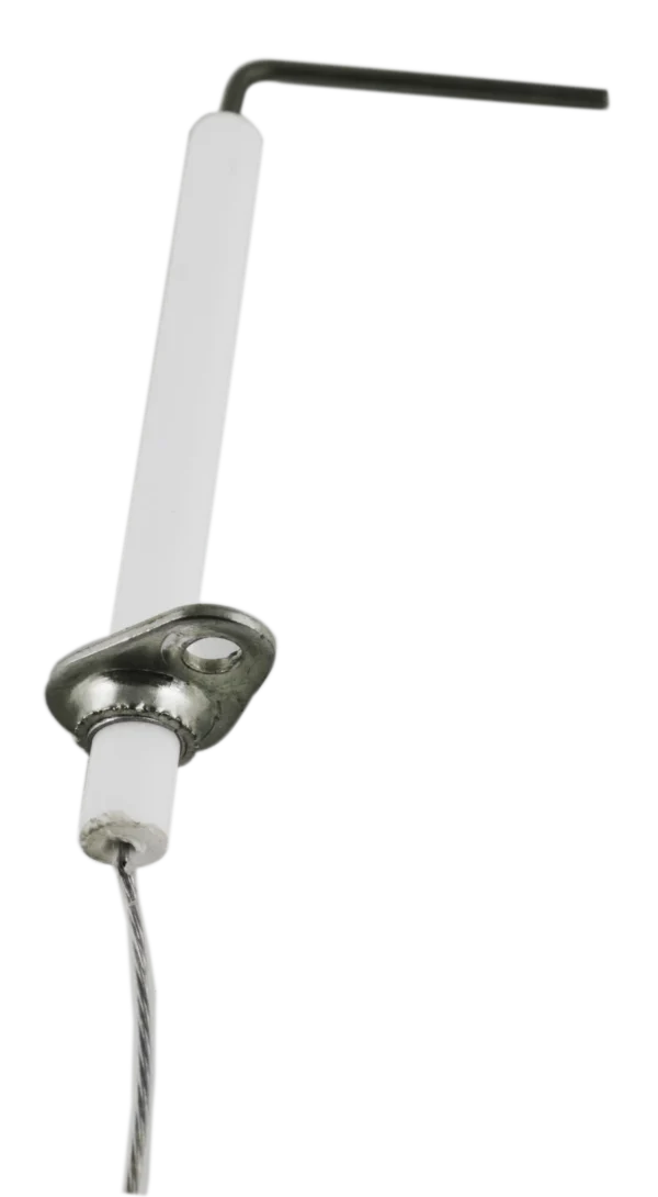 Electrode détecteur